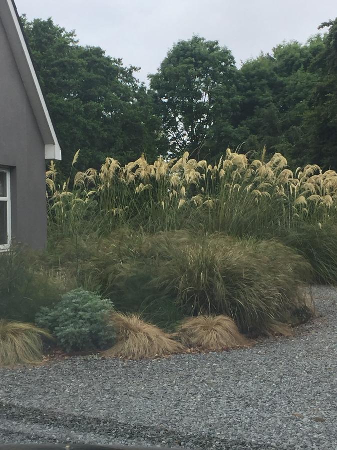 The Wendy Hoose Bed & Breakfast Nairn Exterior photo